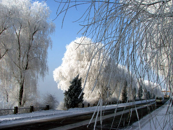 wKgBm07Fv4iHFLkQAANZT_Cw6-E00.jpeg?imageView2%2F2%2Fw%2F680%2Fq%2F90%7CimageMogr2%2Fstrip%2Fquality%2F90