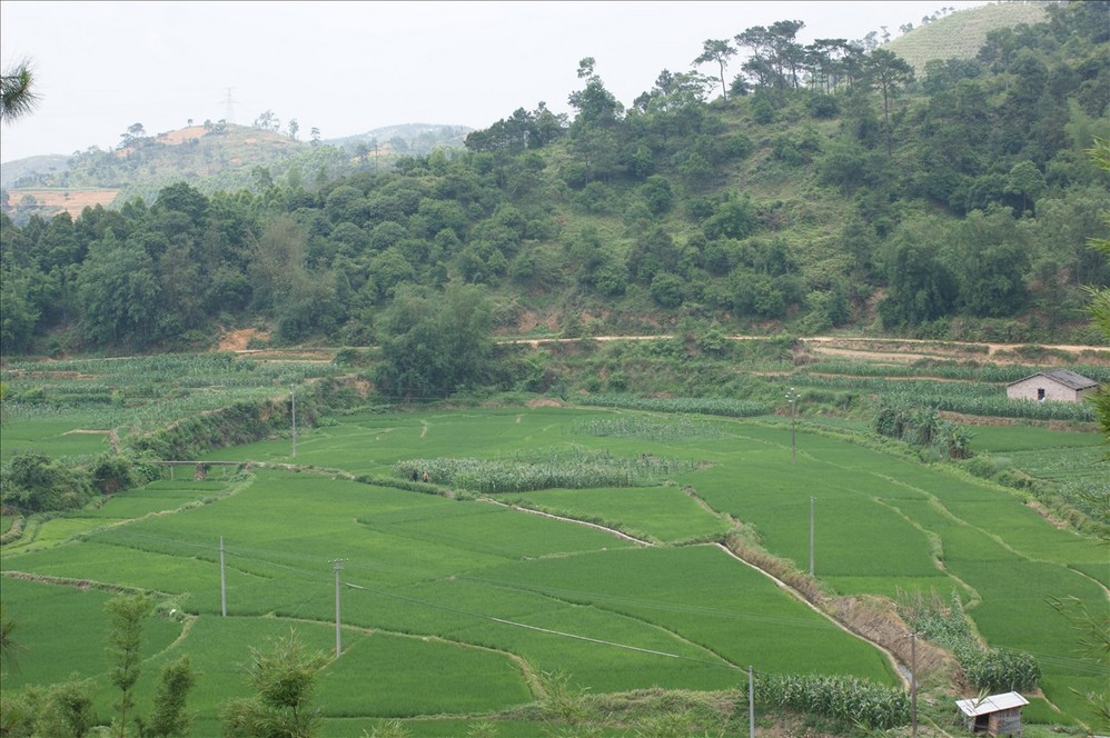 玉林山背人口_玉林佛子山风景图片(3)