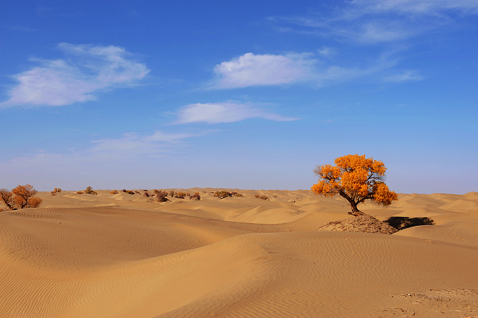 中国四大沙漠，最美大大漠风光