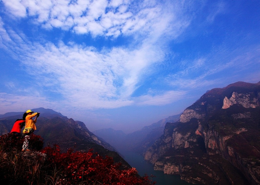《巫山红叶》图片