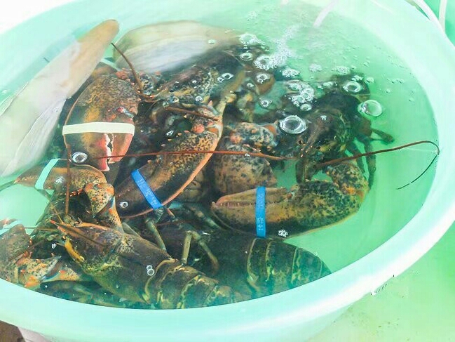 wKgBZ1jzLpaANi7TAANyNHndN3s17.jpeg?imageView2%2F2%2Fw%2F600%2Fh%2F600%2Fq%2F90