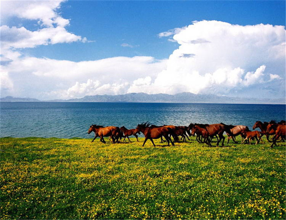 wKgBZ1jWLUyATISeAAR05uiFw6416.jpeg?imageView2%2F2%2Fw%2F510%2Fh%2F8000%2Fq%2F100%7Cimageslim