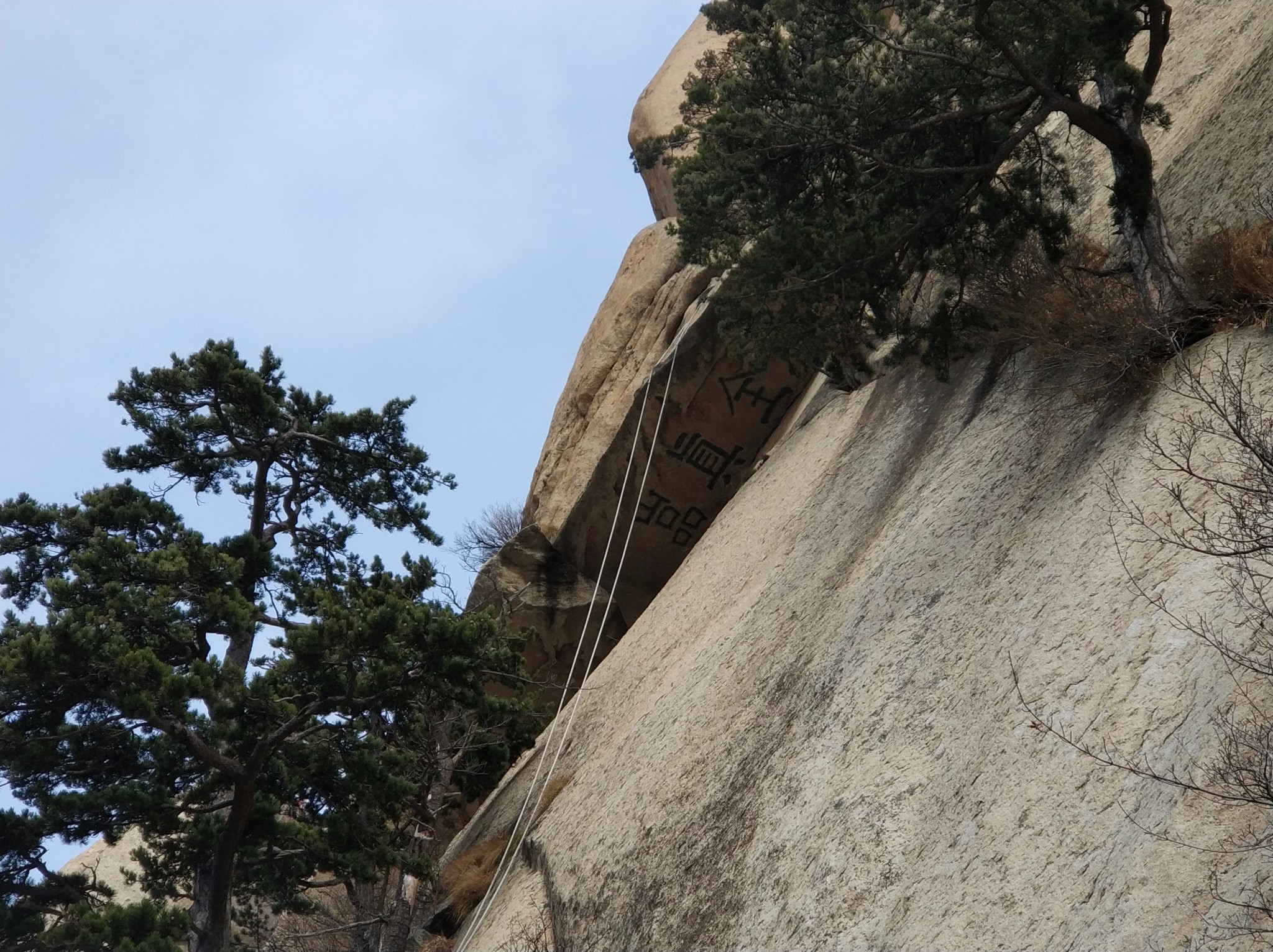 wKgBZ1oj93aAFcbNAA5QXNBsbuU79.jpeg?imageView2%2F2%2Fw%2F600%2Fh%2F600%2Fq%2F90