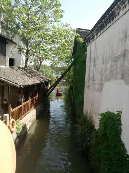 浙江乌镇旅游景点_乌镇2017年旅游收入(3)