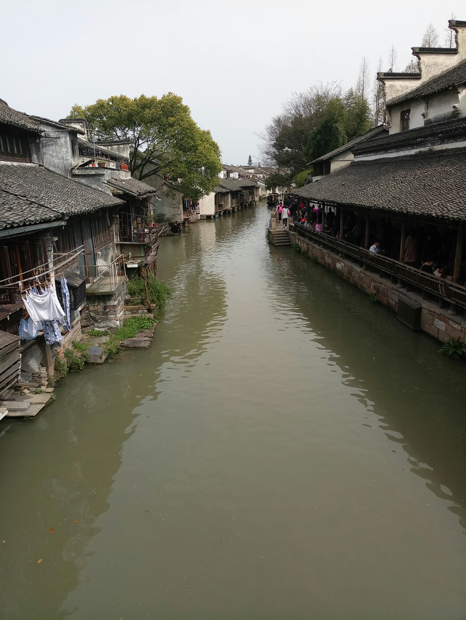 乌镇人口_跟着明星玩转热门取景地