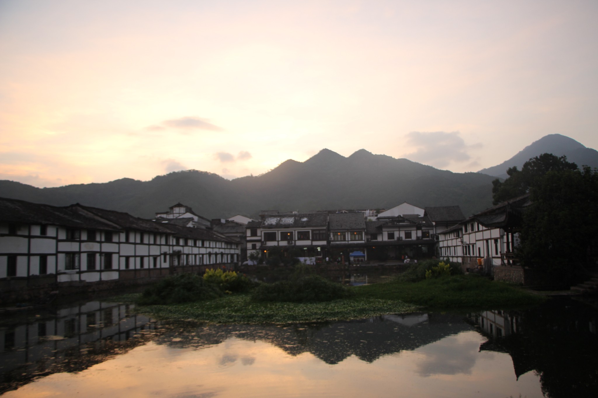 林苍村人口_人口普查