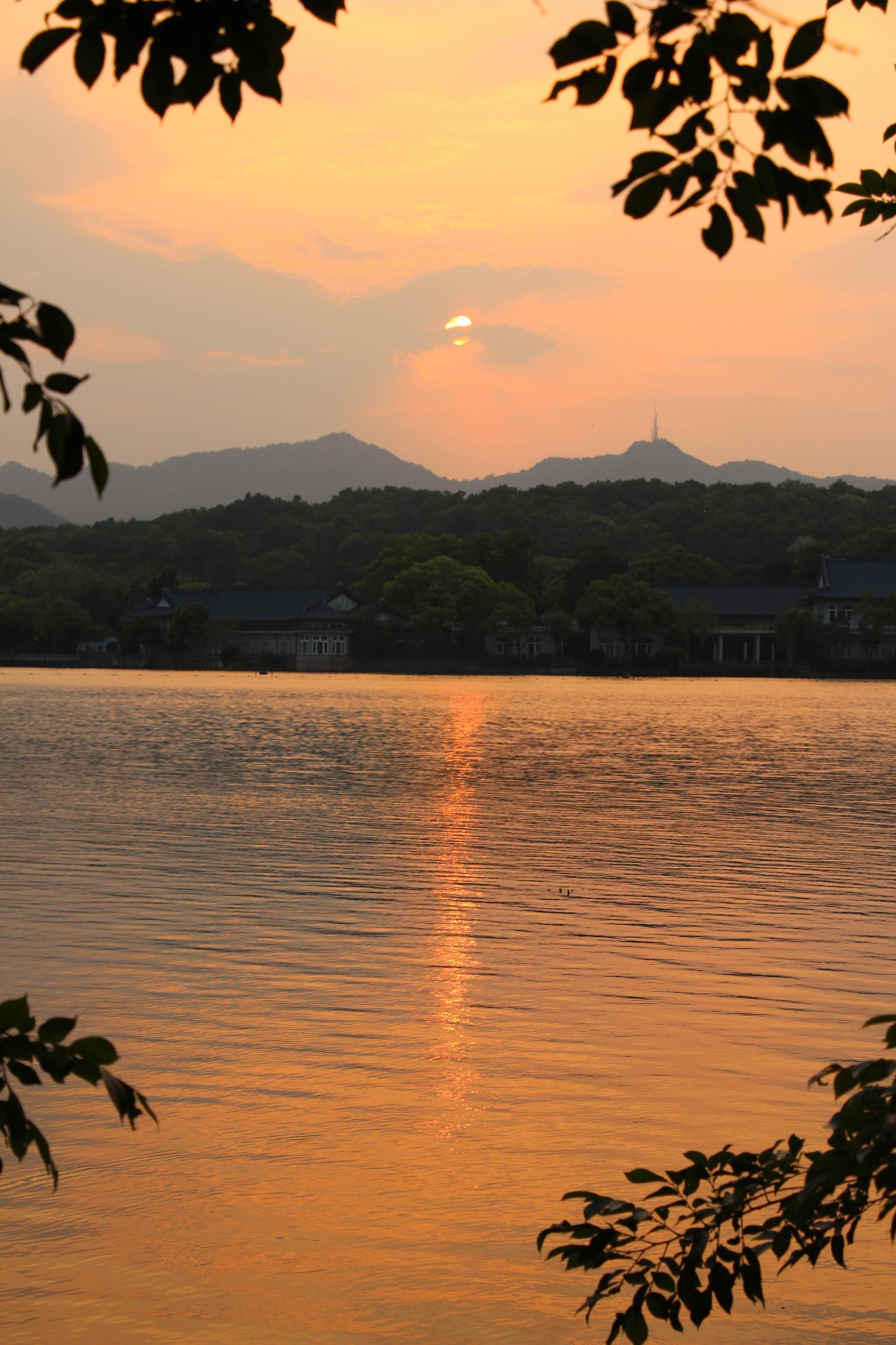 西湖           