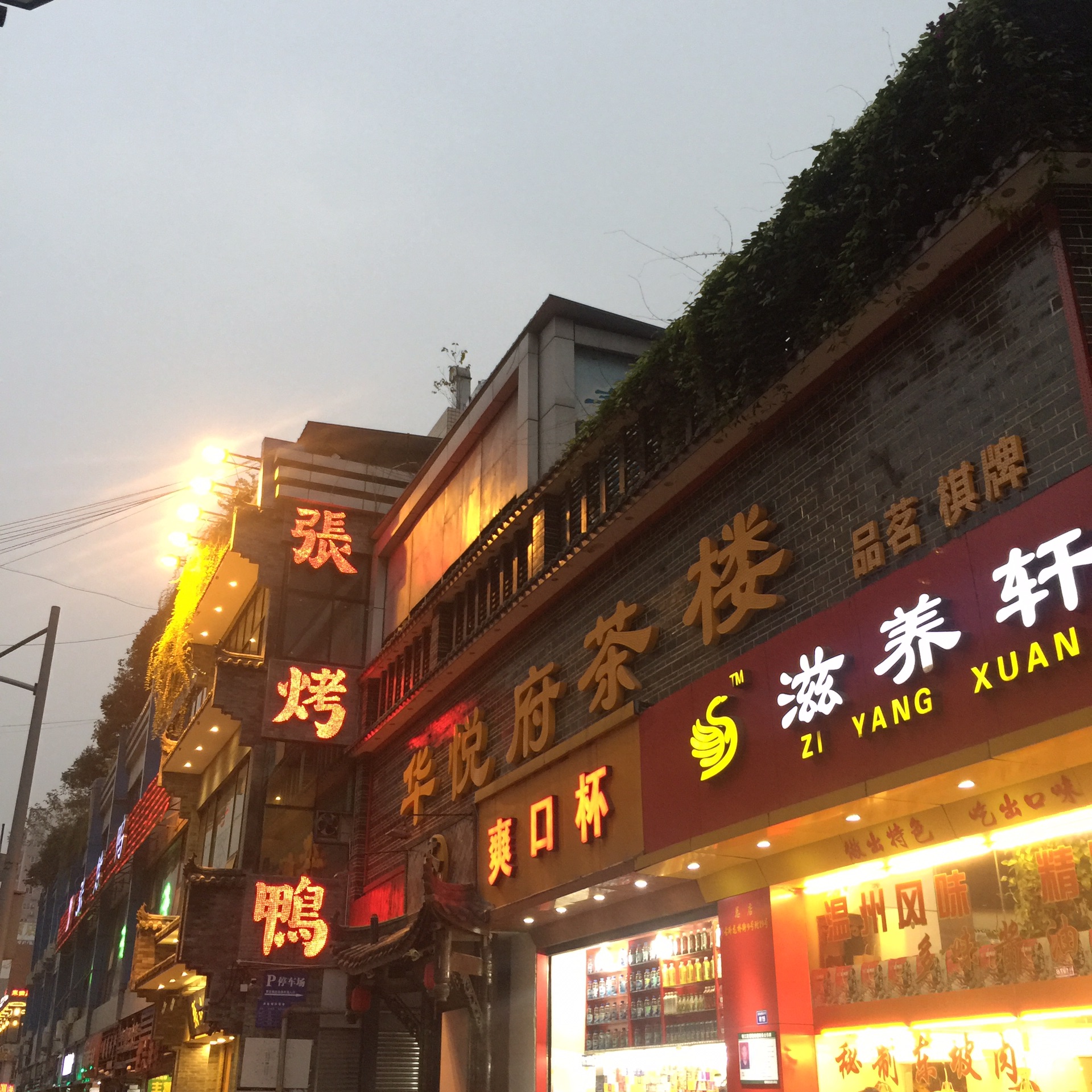 玉林人均_玉林师范学院(2)