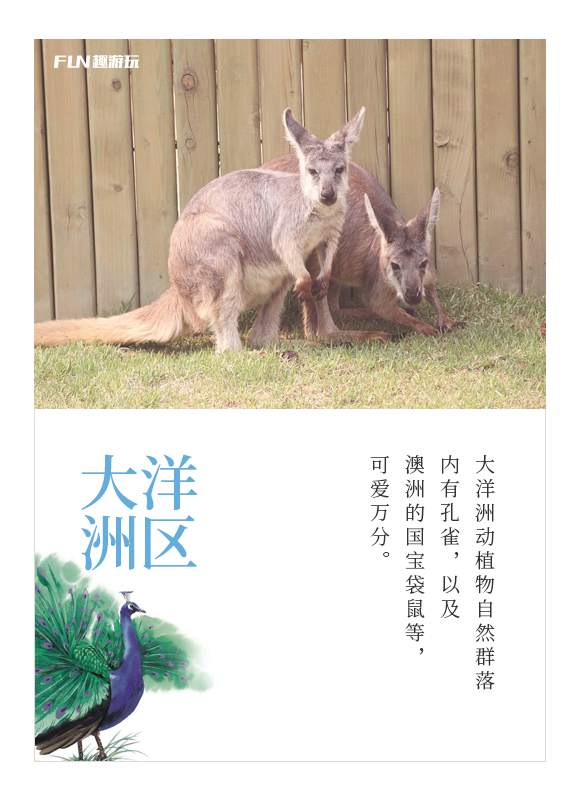 wKgBZ1meiYGAHr2jAARXtiQ3YmI14.jpeg?imageView2%2F2%2Fw%2F580%2Fh%2F9999%2Fq%2F100