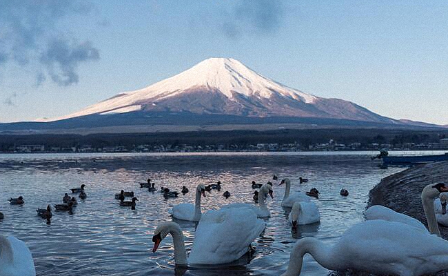 山中湖为富士五湖中最大的湖泊,也是富士五湖中最高的一湖,在全日本