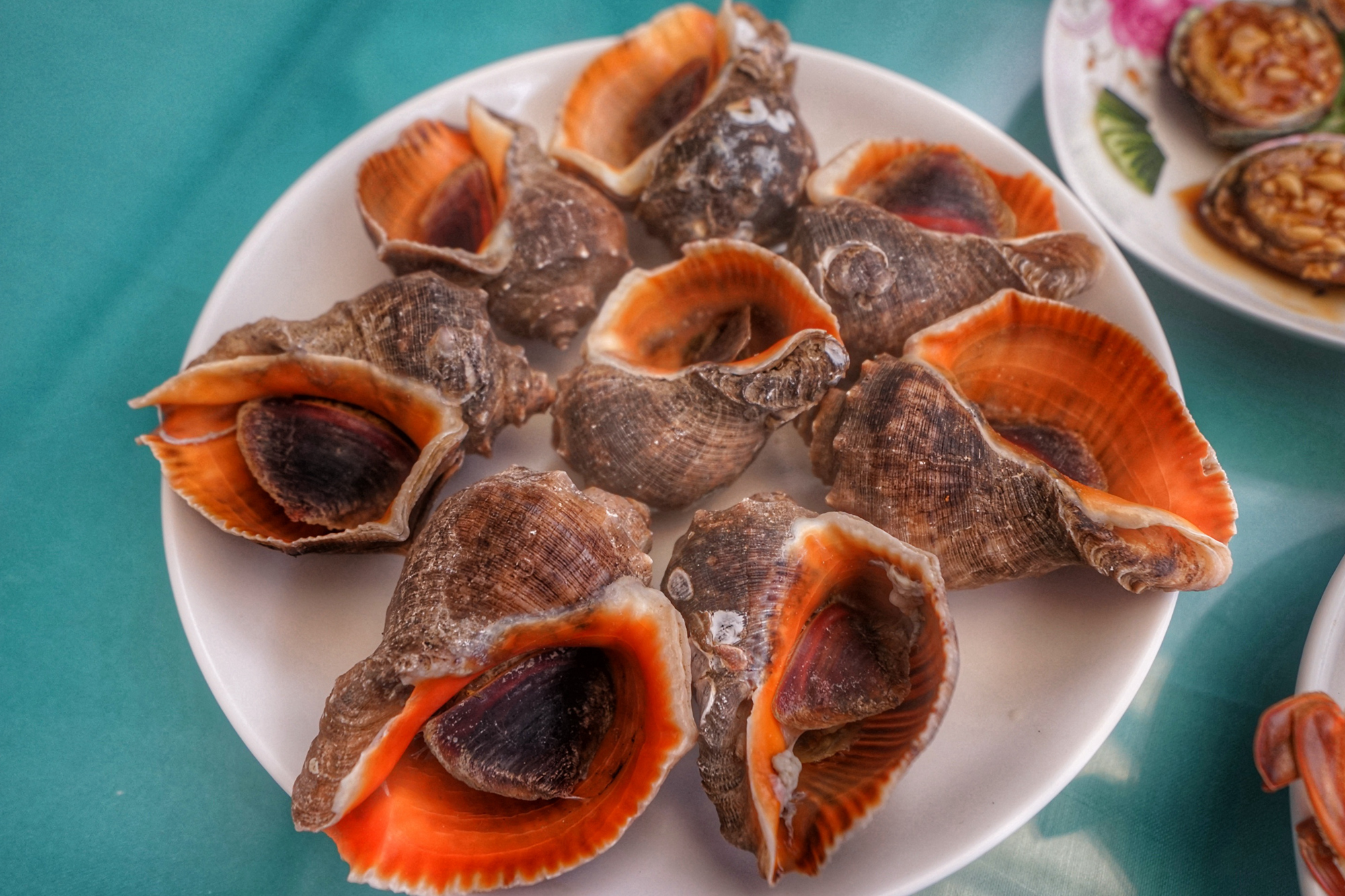 wKgBZ1lhAxKAc24oABMaOxrDPls21.jpeg?imageView2%2F2%2Fw%2F600%2Fh%2F600%2Fq%2F90