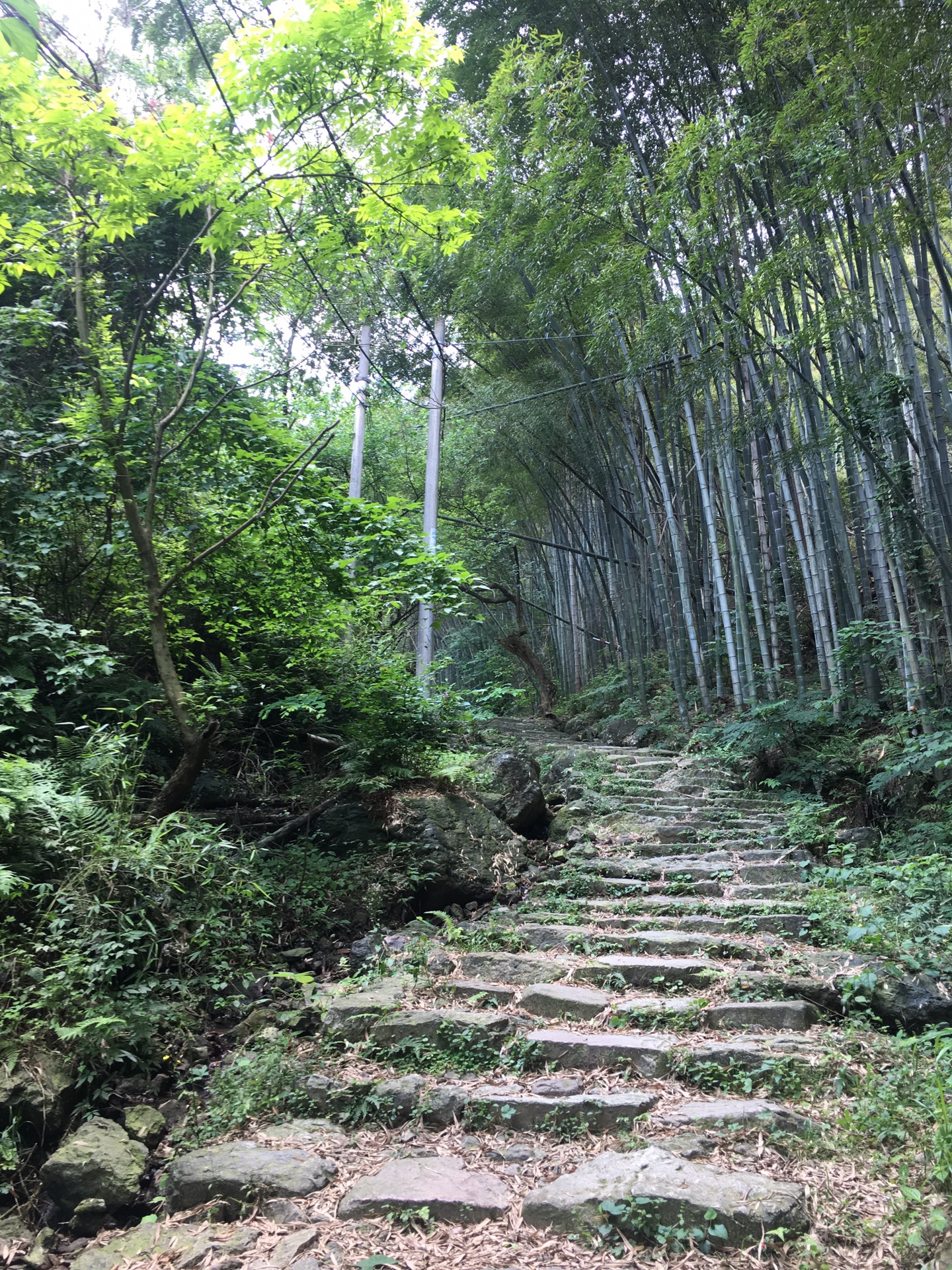 绍兴二日自驾,日铸岭古道-绍兴-东湖