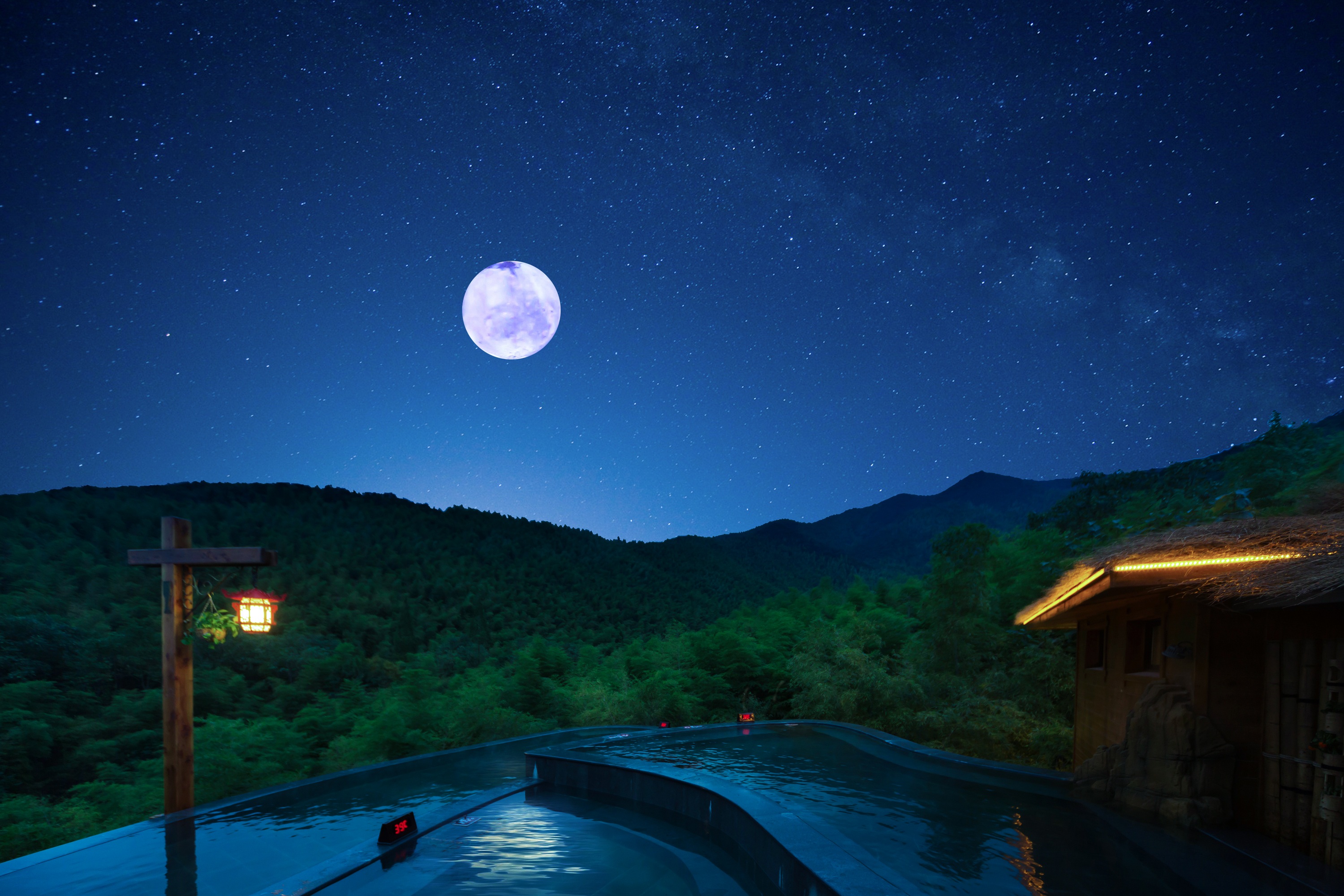 一只鸟飞温泉池猜一成语_一个人一只鸟成语猜图(3)