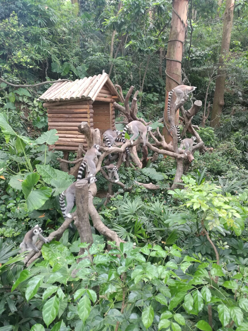 珠海多大面积多少人口_北京到珠海多少公里(3)