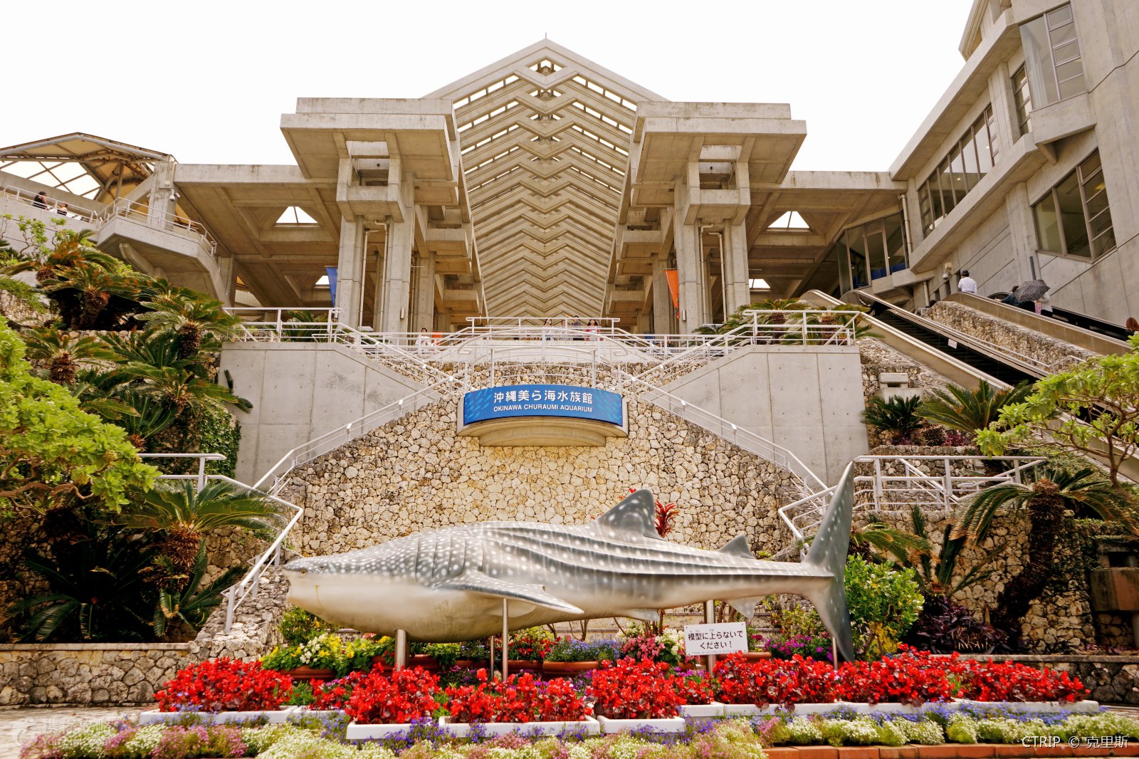 探索海洋的奥秘 冲绳美丽海水族馆门票(冲绳人气景点/亲子时光/取票