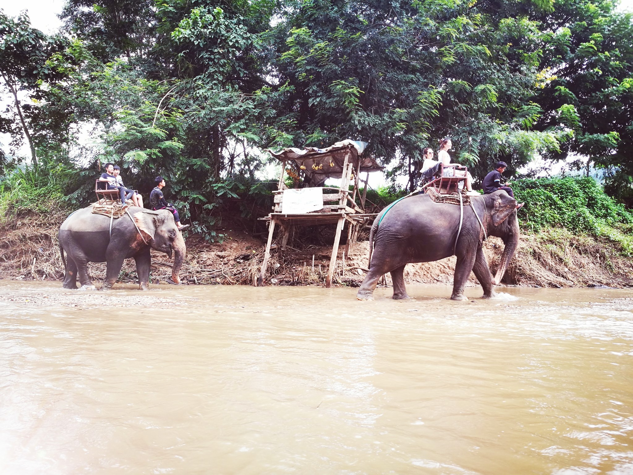 泰国清迈 跟团游6日4晚 实惠不累很好玩