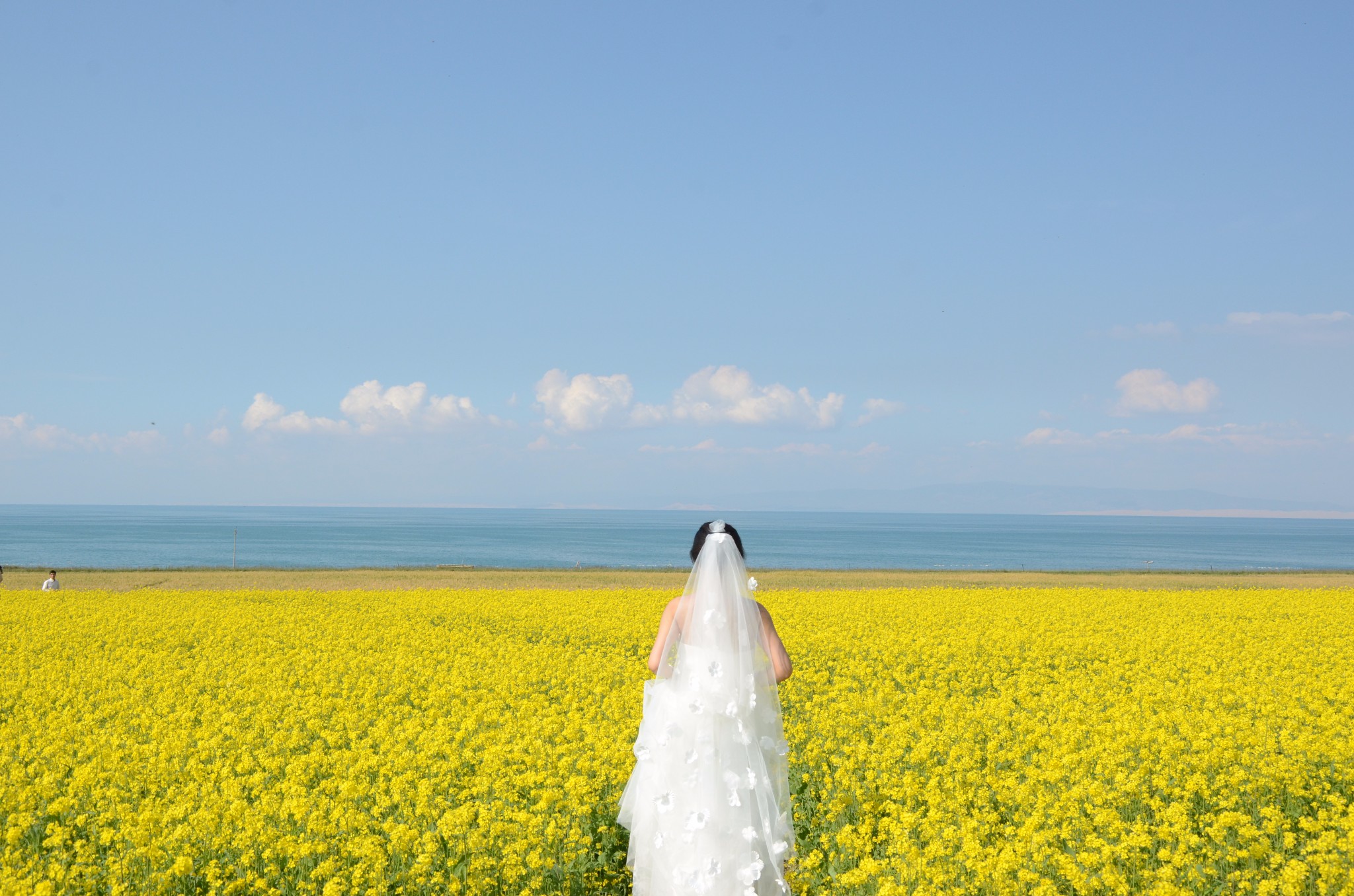 草地湖边婚纱照_湖边婚纱照(3)