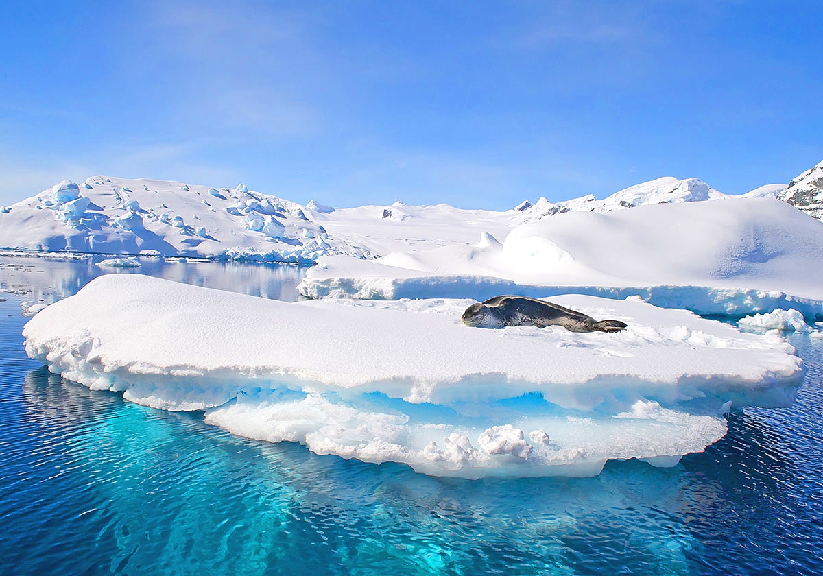 南极洲旅游怎么去,需要什么手续吗?