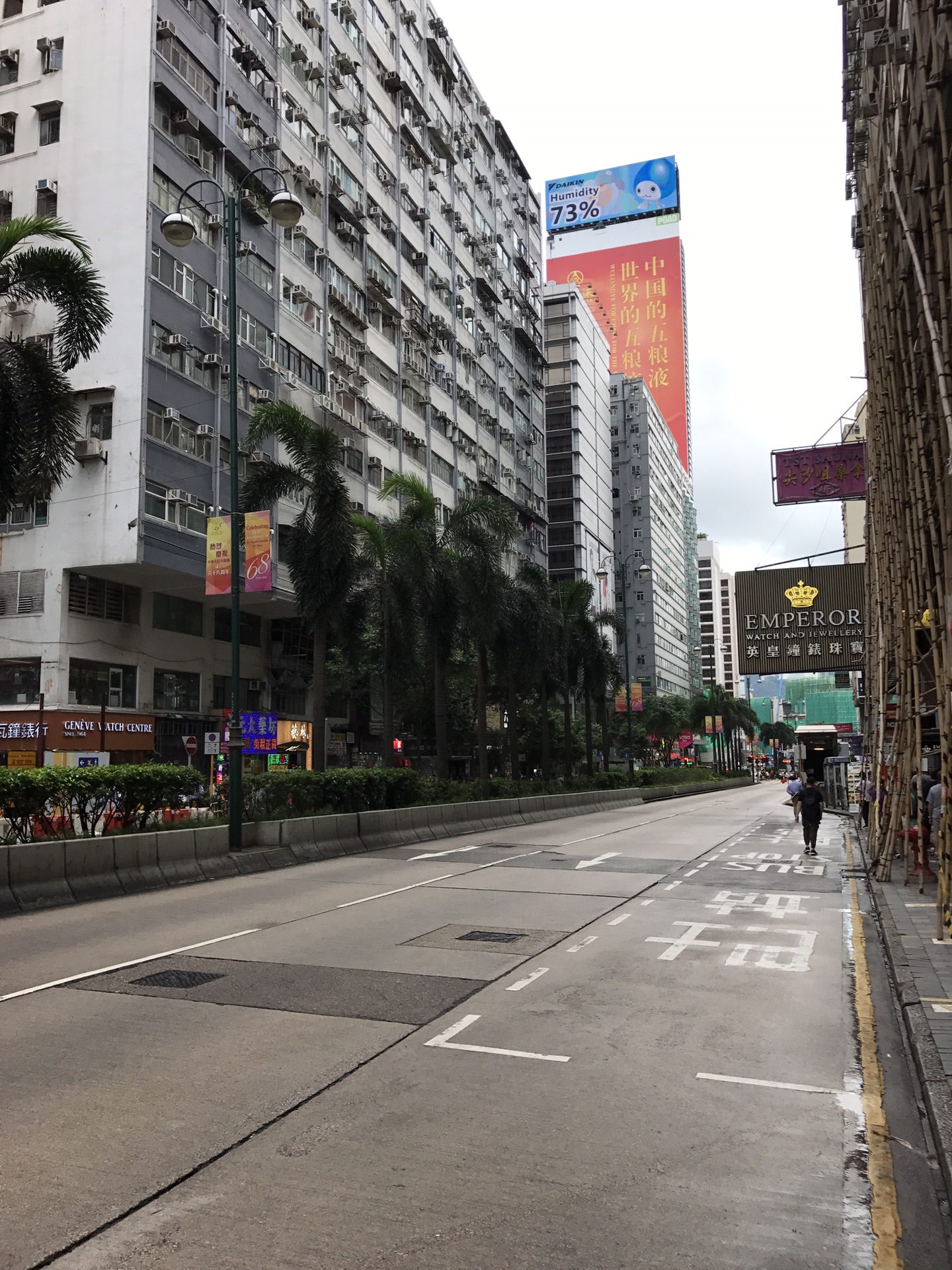 香港暴走两日半第一日尖沙咀天星小轮太平山顶兰桂坊半山扶梯