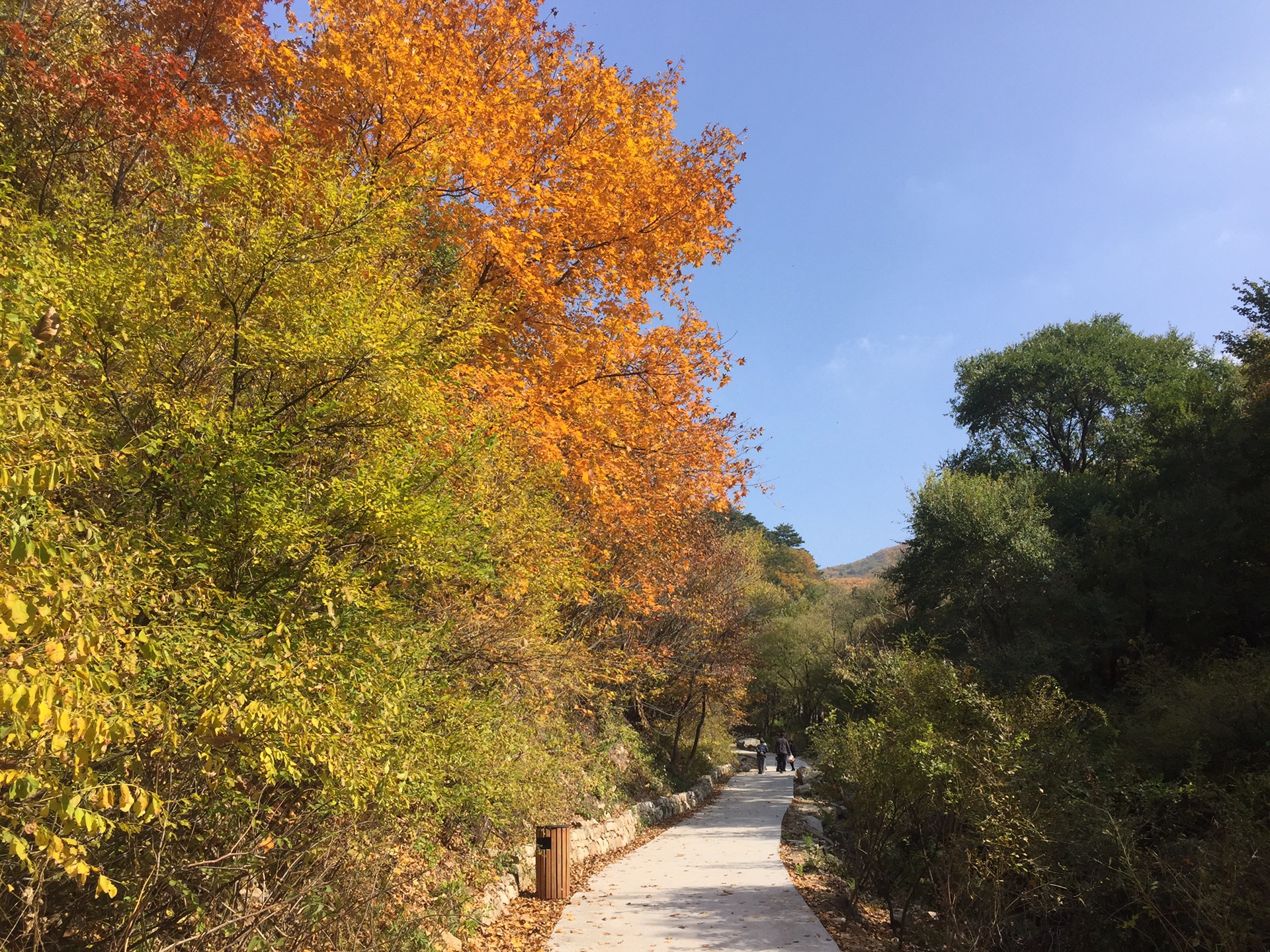 铁岭城子山〕2017十一赏秋,登顶登嘎拉达峰图片178,西丰旅游景点