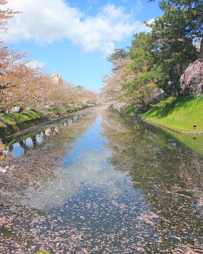 日本签证再放宽!新增东北三个刷签地竟然这么