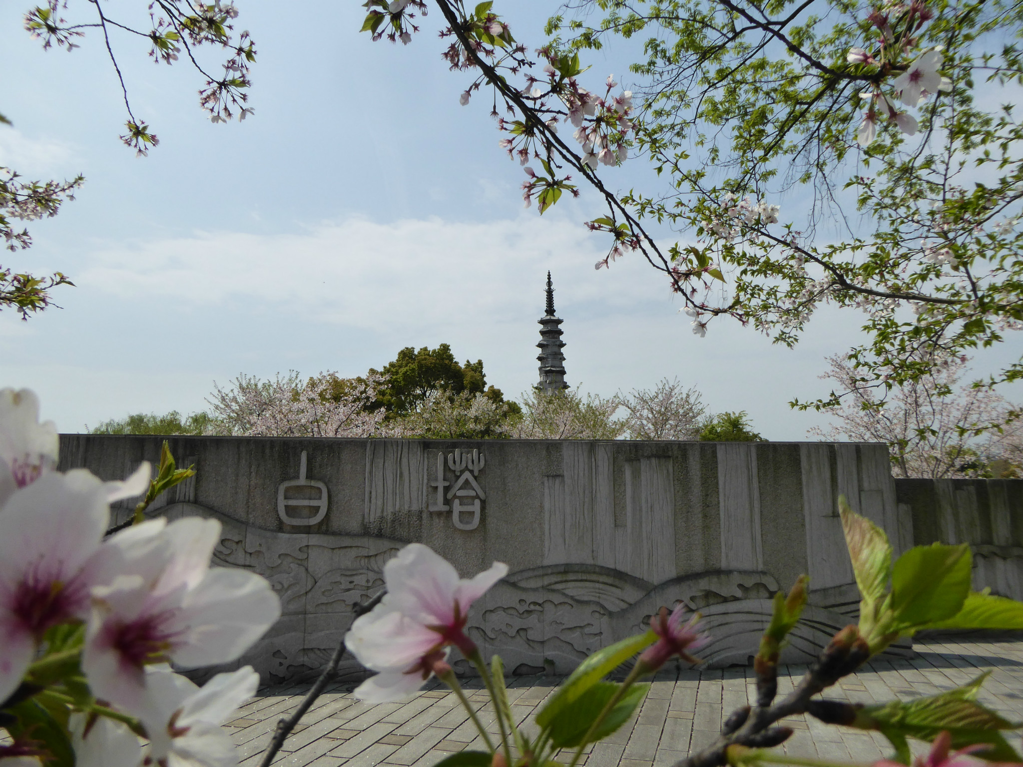 杭州白塔公园        
