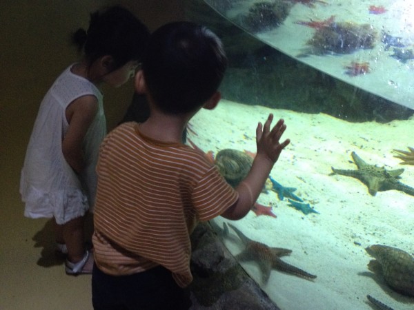 鲨鱼夹的用法小学生 wKgBZ1mUQ56AX74EAAlUul3XG_o27.jpeg?imageView2%2F2%2Fw%2F600%2Fh%2F600%2Fq%2F90