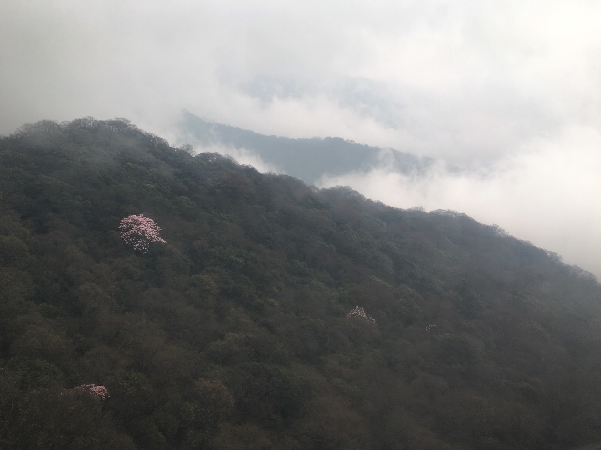 云贵人口有多少_云贵高原(2)