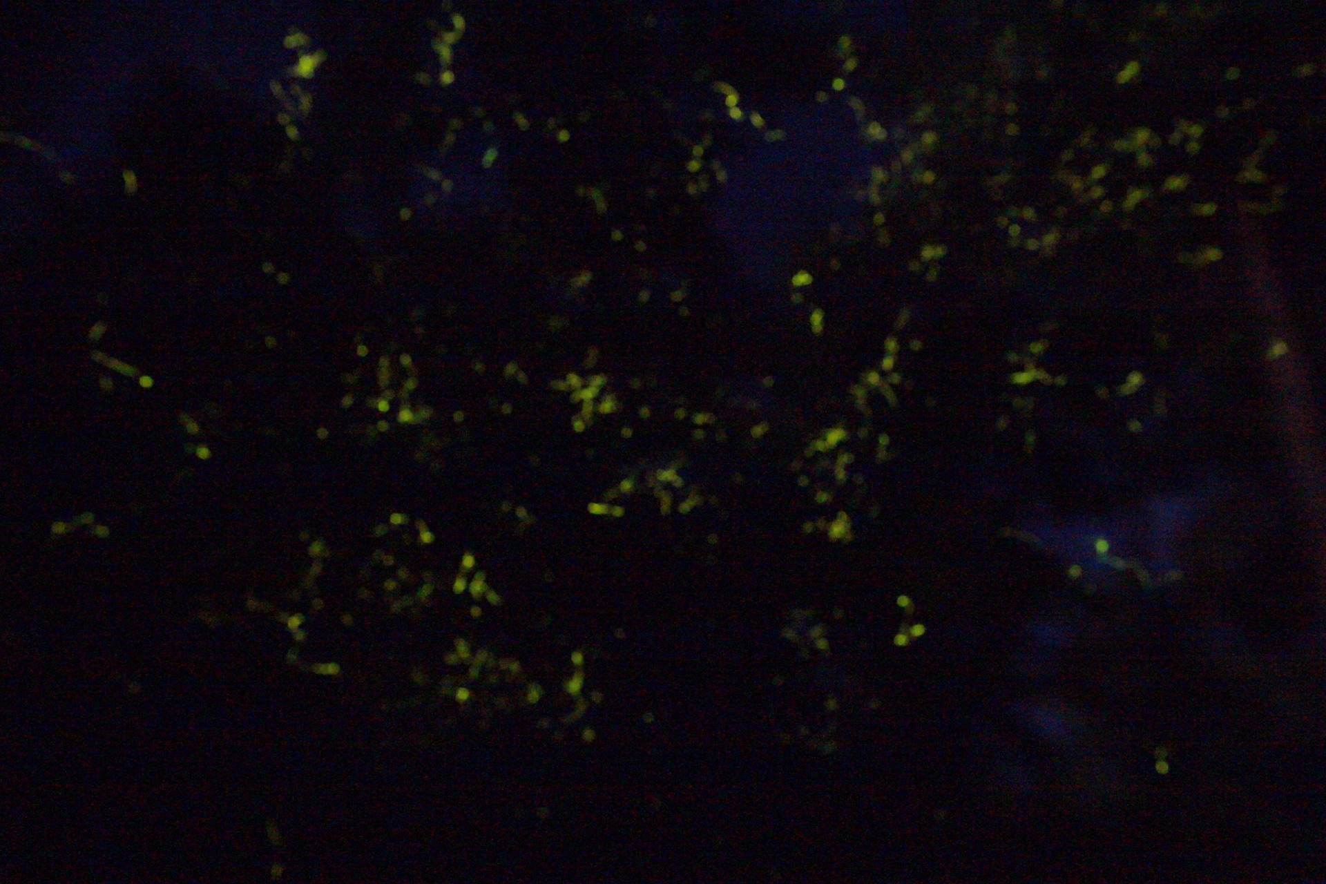 wKgBZ1mWXLqAH_H4AAmV_rAqxLo86.jpeg?imageView2%2F2%2Fw%2F600%2Fh%2F600%2Fq%2F90