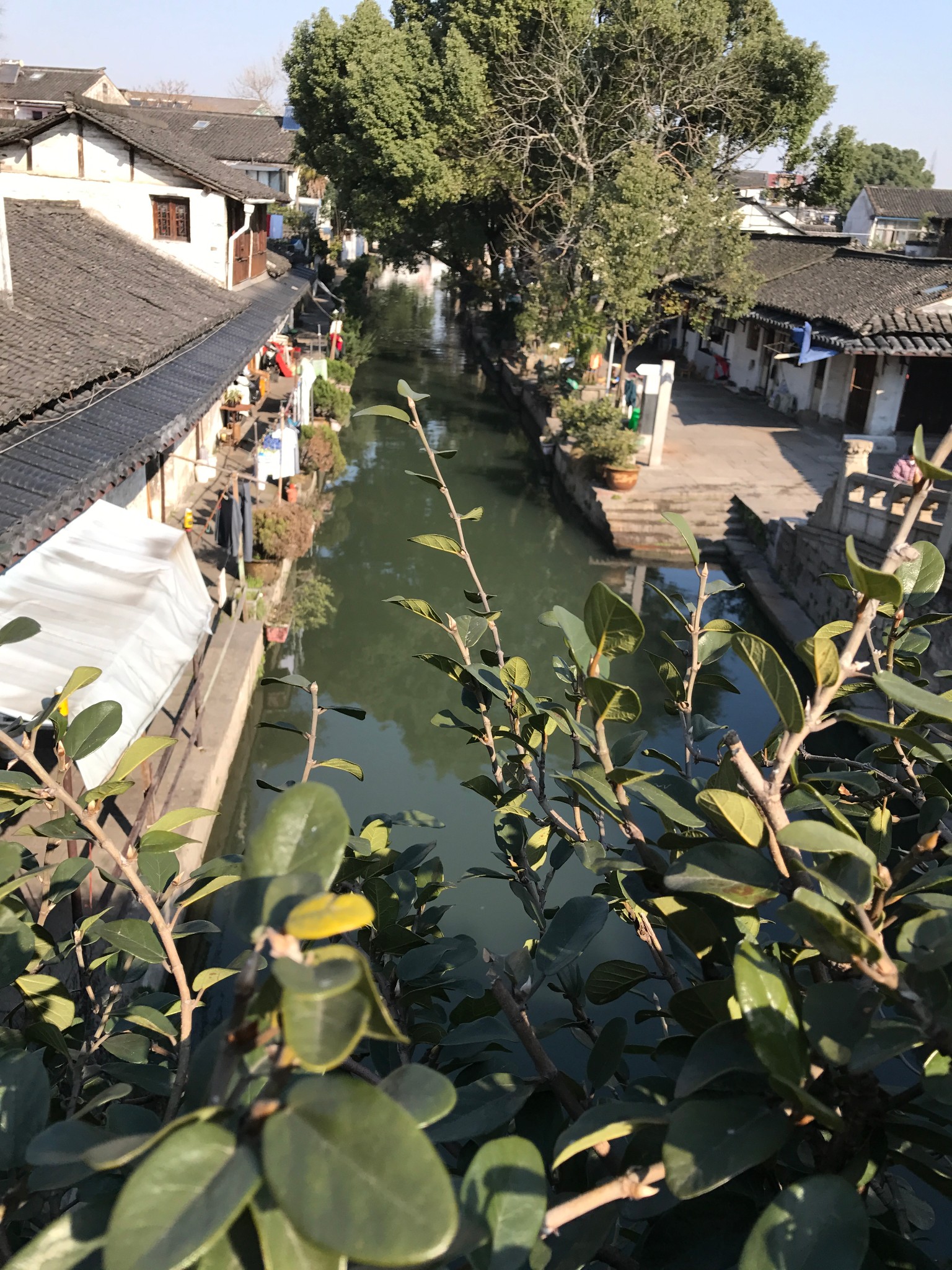 绍兴多少人口2017_绍兴兜率宫门票多少(3)