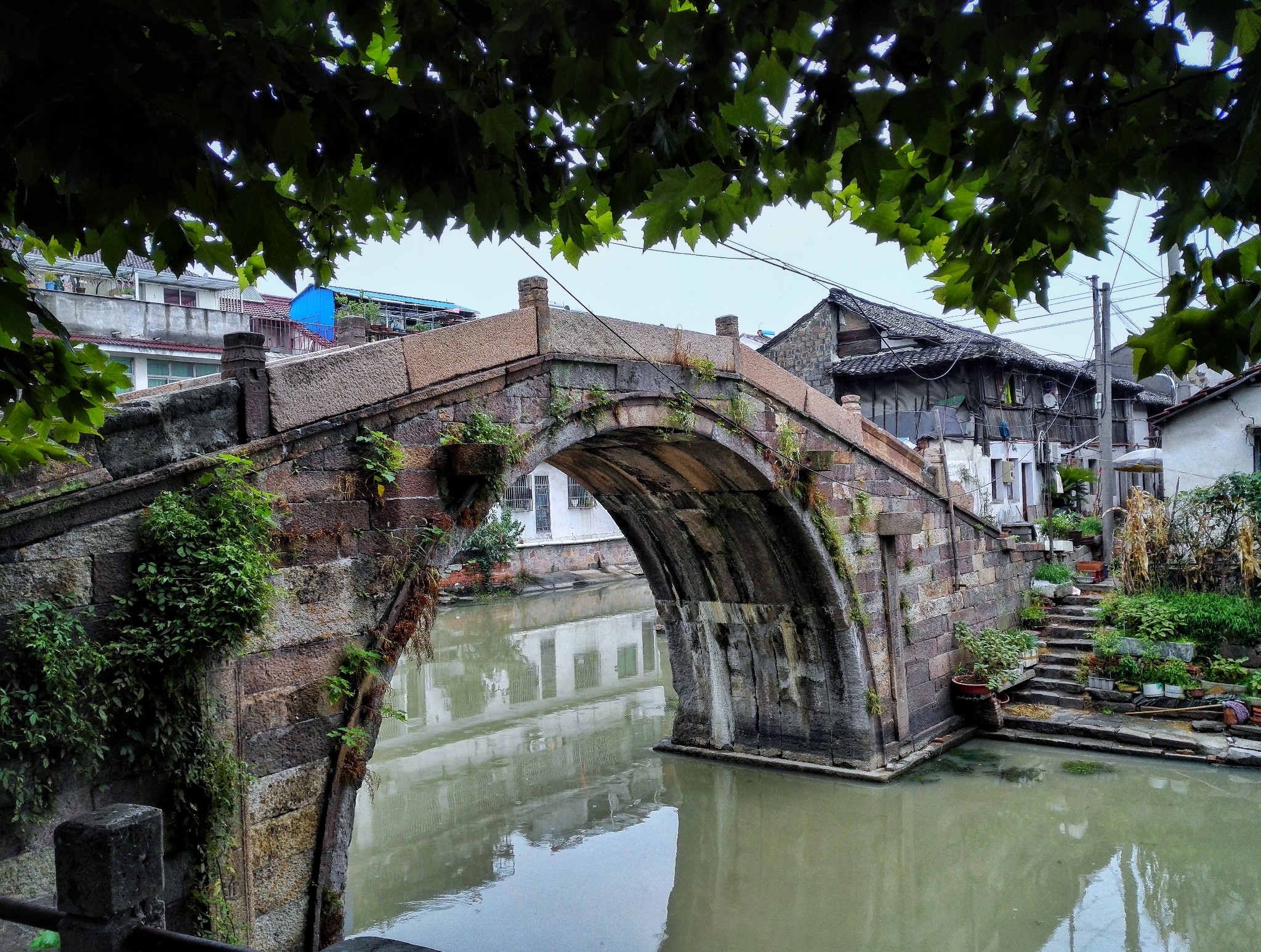 回复游记:小镇练市:拉长时光,醉在水乡