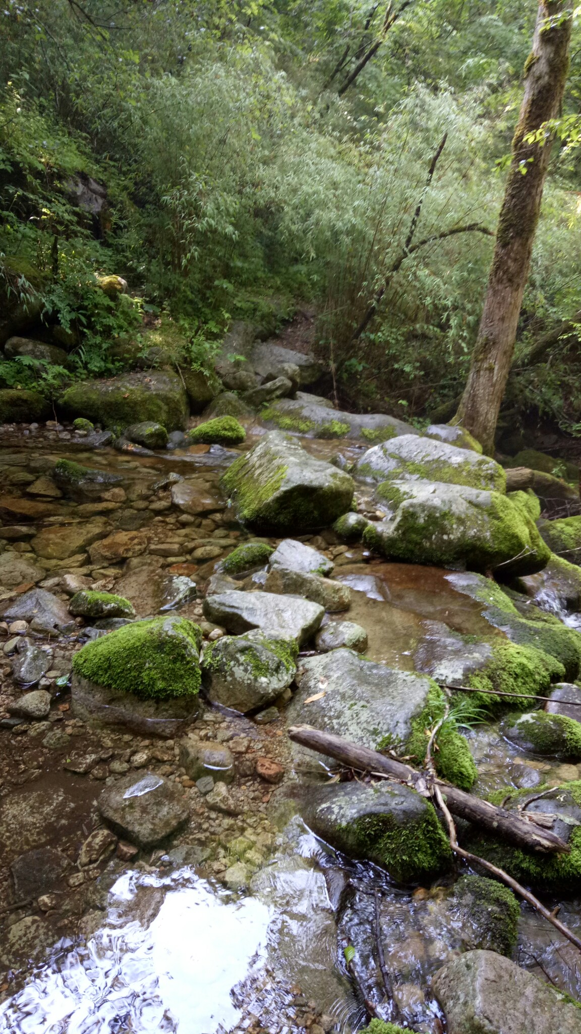 跋山涉水,重装徒步太白山南北穿越