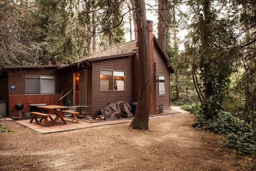 knotty pine cabin in the trees