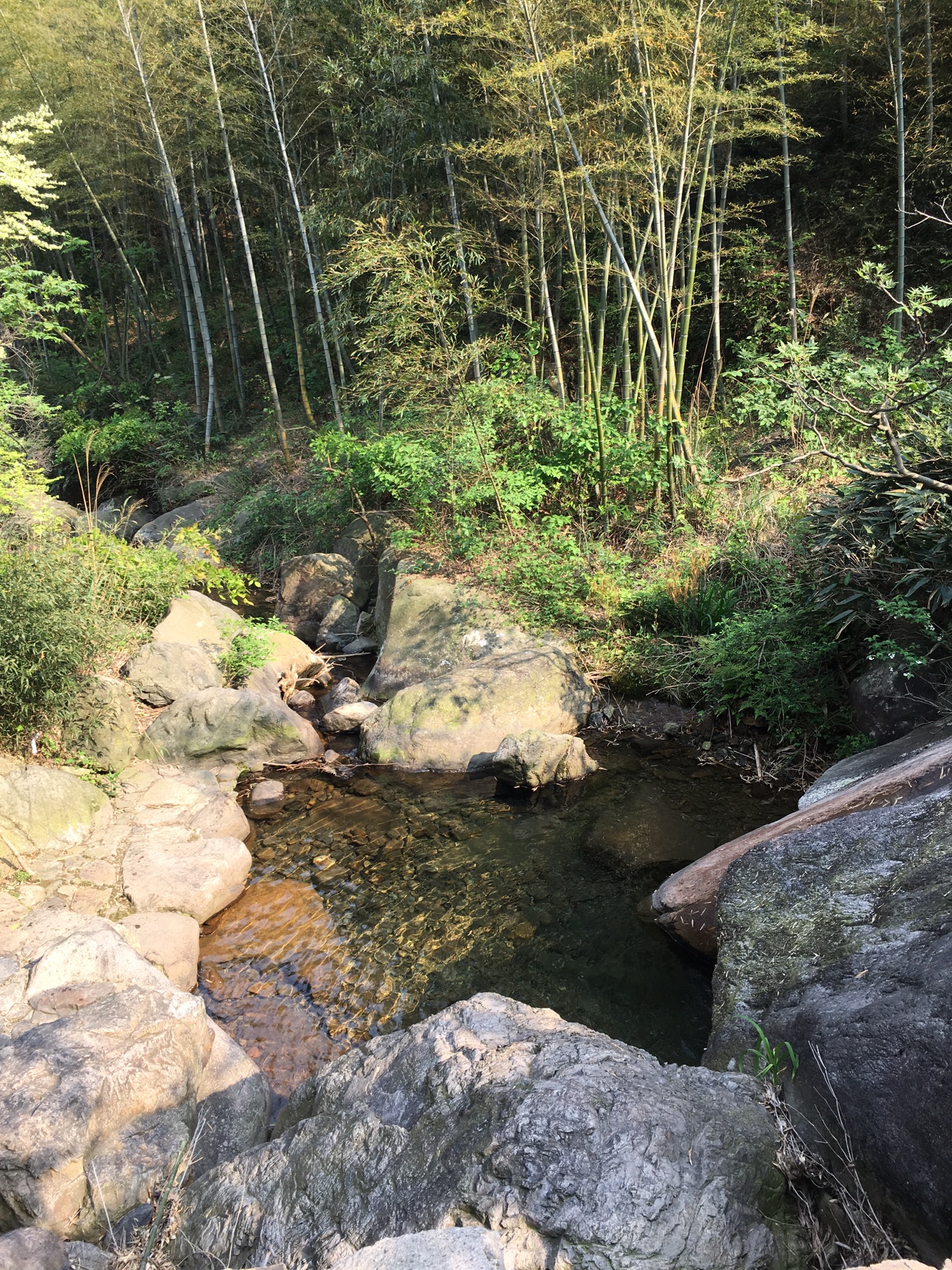 【杭州周边游】漫山野杜鹃,穿越鸬鸟山