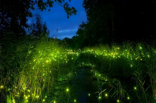 wKgBZ1mcBYCAXqdoAAGdxbDuM-Y17.jpeg?imageView2%2F2%2Fw%2F510%2Fh%2F8000%2Fq%2F100