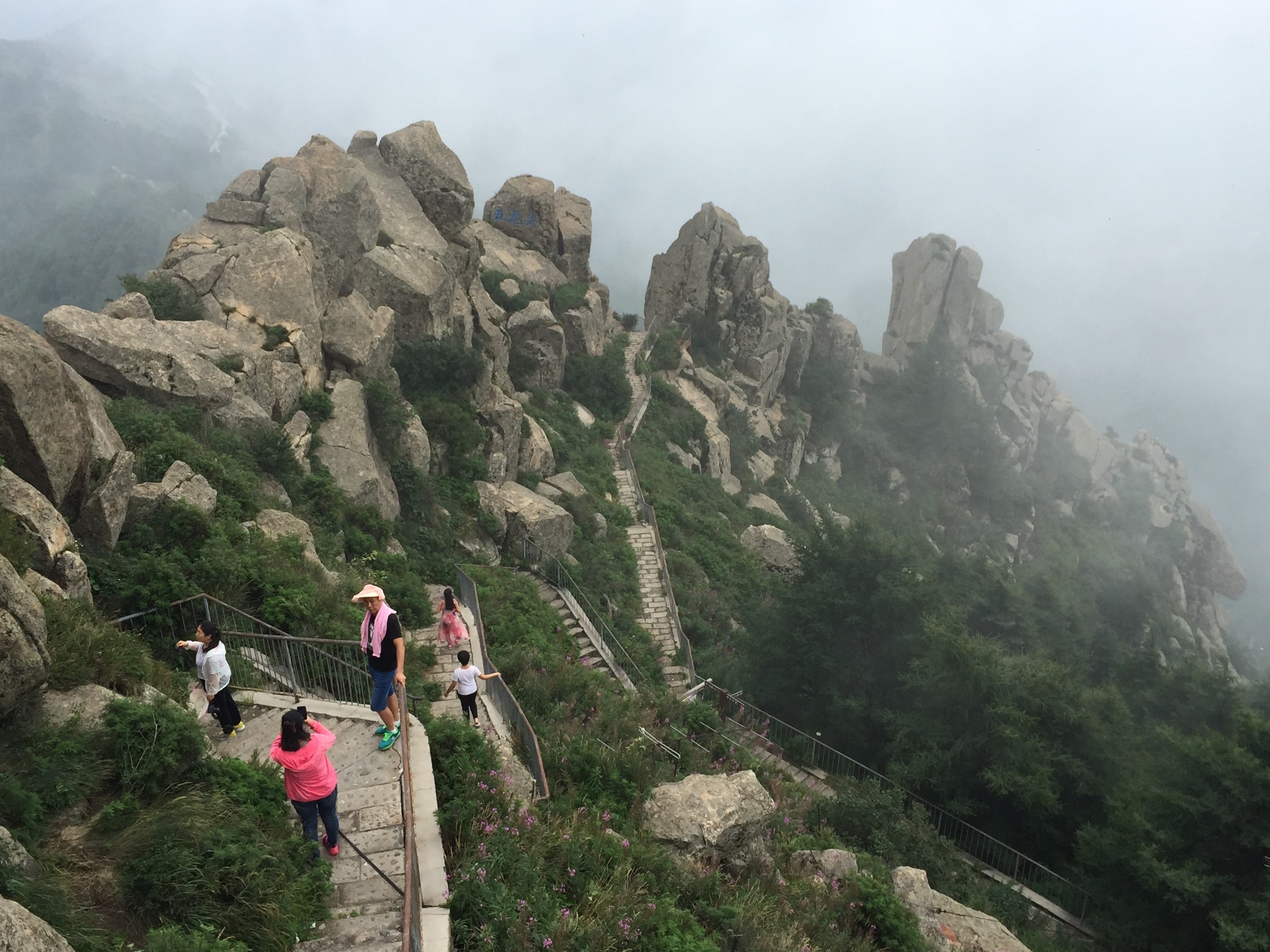 山野寻花之雾灵山,承德旅游攻略 - 马蜂窝