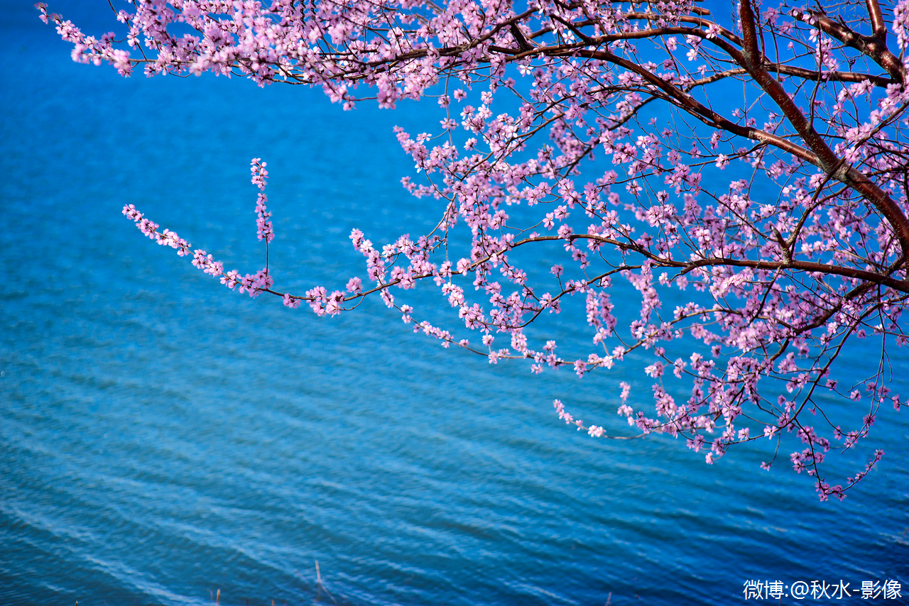 春日暖阳照凌海，天气预报带你览美景