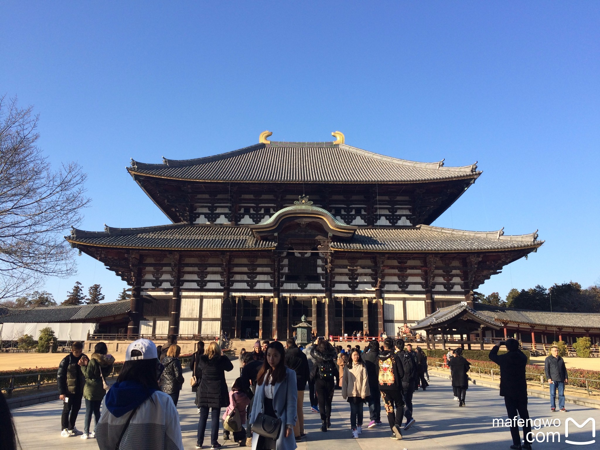 与基友的日本11天自由行冲绳京都奈良大阪