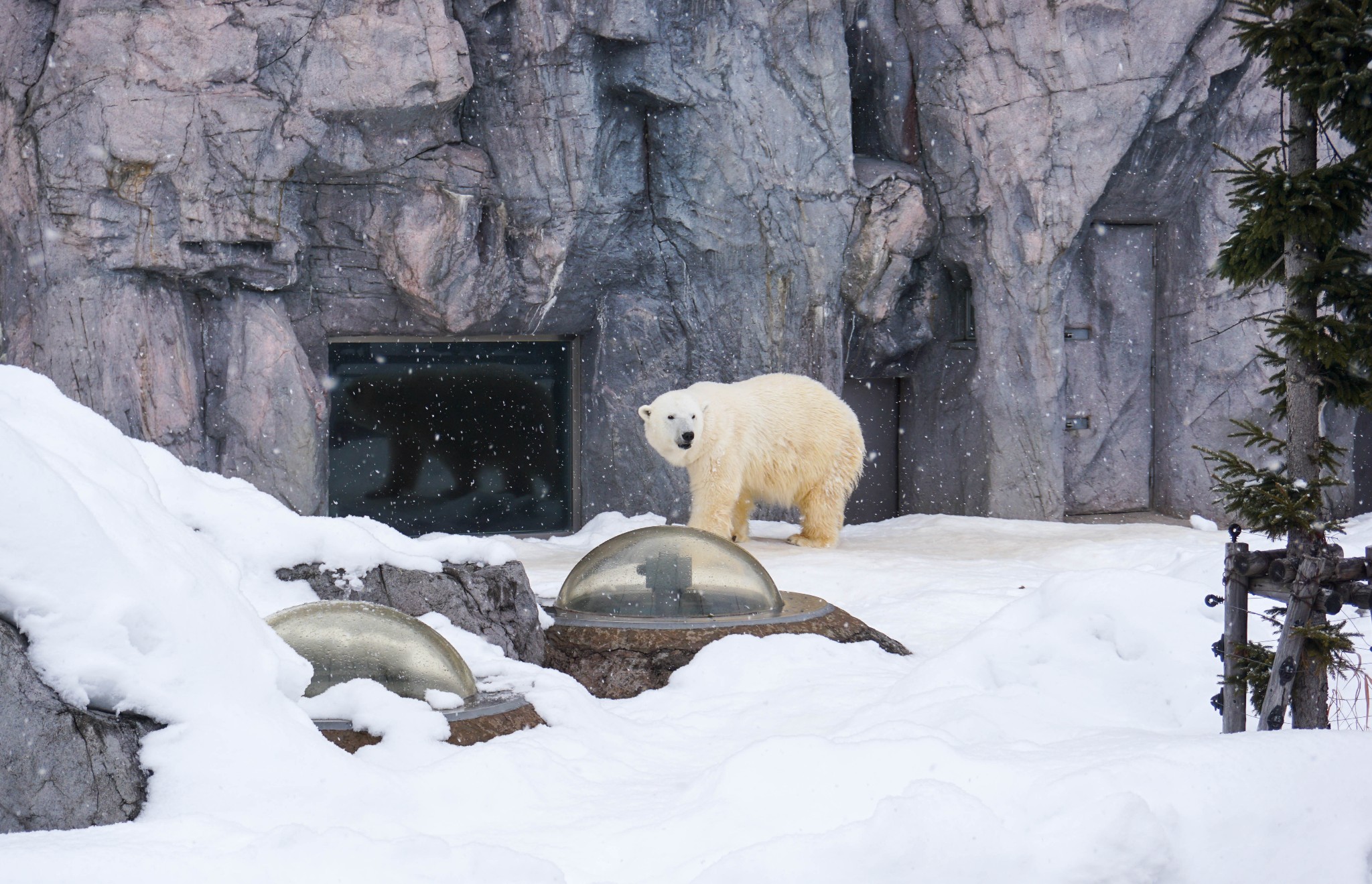 两个残疾人猜成语_看图猜成语(3)