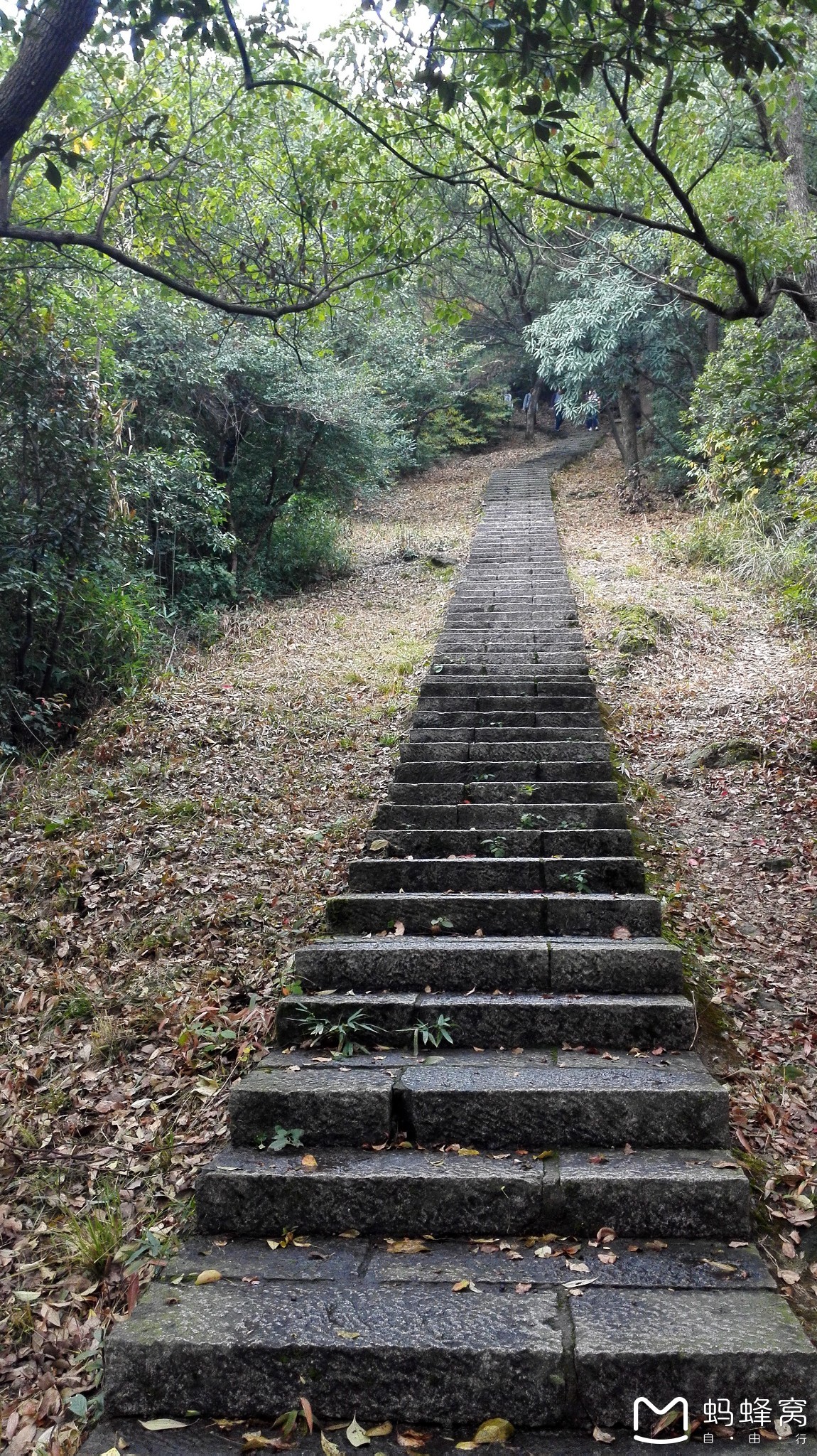 周末游览杭州植物园欣赏灵峰探梅攀登灵峰美女山之西子为邻亭