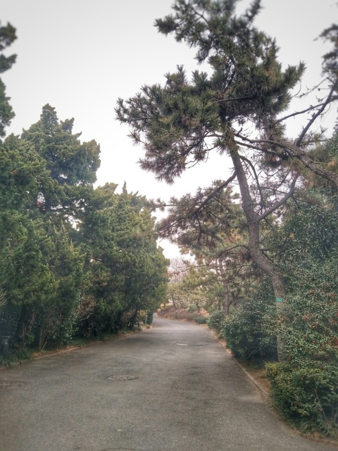 2.19到青岛的第二天,突然想起来那天晚上差点回不去宾馆,地图上显示万达那的汉庭太多,差点走错,起来之后立刻去了八大关,空旷干净,树枝多,去了公主楼,蝴蝶楼,第二海水浴场,冷啊啊啊啊啊啊啊啊,多穿点,要不只有冻僵的份 打算打车去天主教堂,结果被出租车司机忽悠去了一个叫太平山的地方,门票100一张,只是做索道车,又冷又害怕,我带的小帅哥还恐高,只有不断的傻笑了 拍了一张电视塔,毕竟既来之则安知