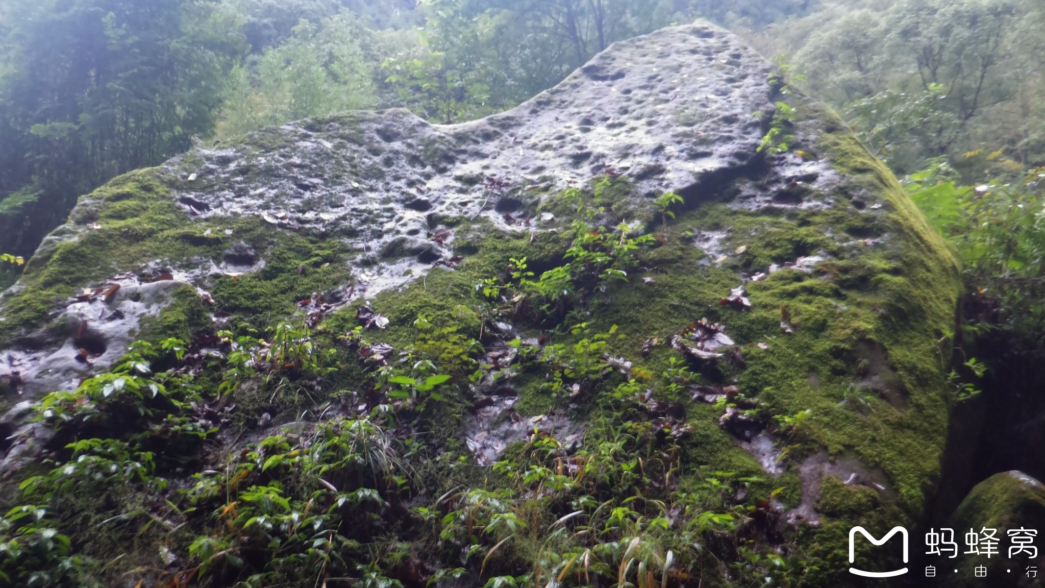 洪离镇人口(3)