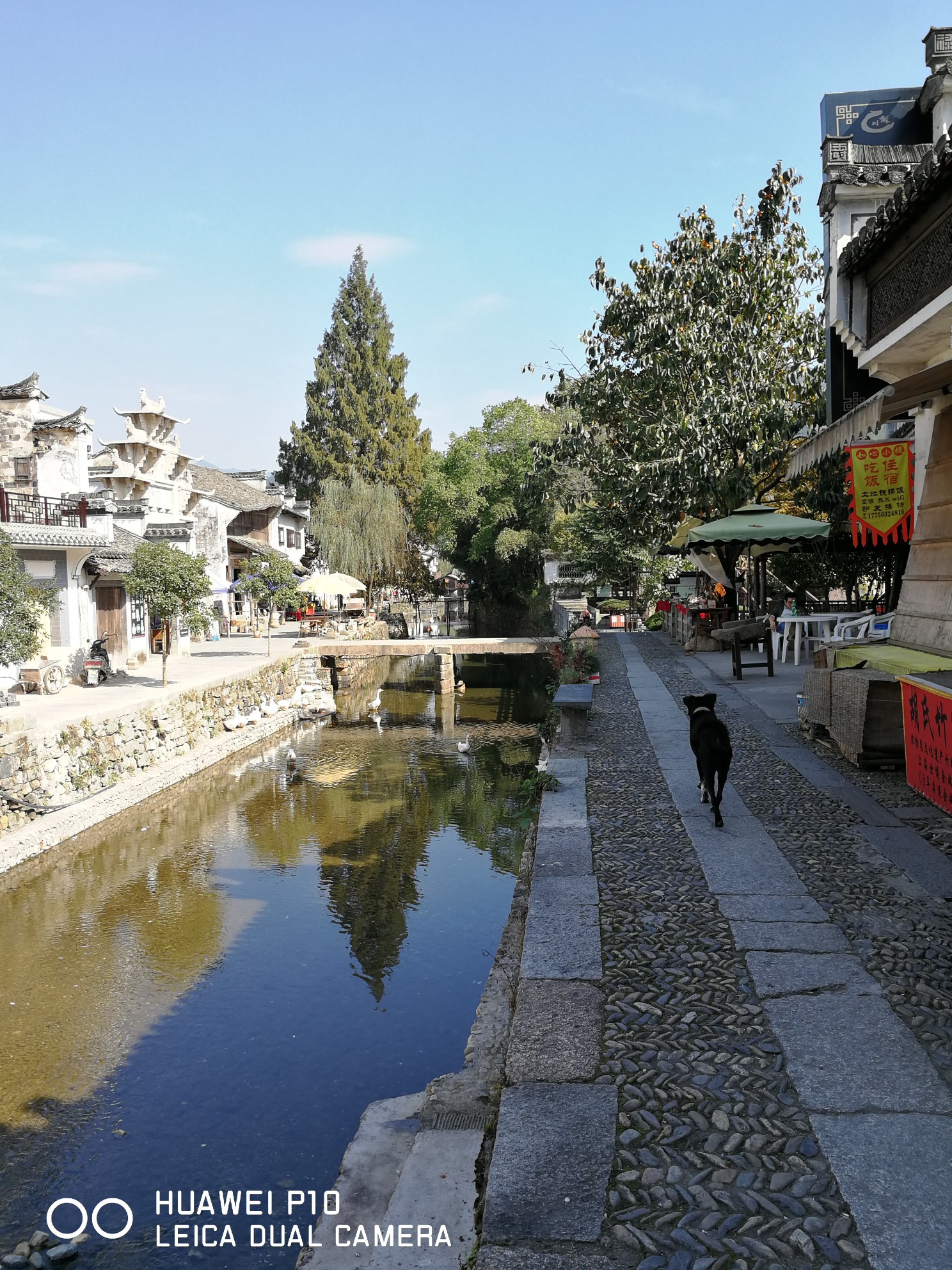 绩溪县多少人口_绩溪县龙川景区图片