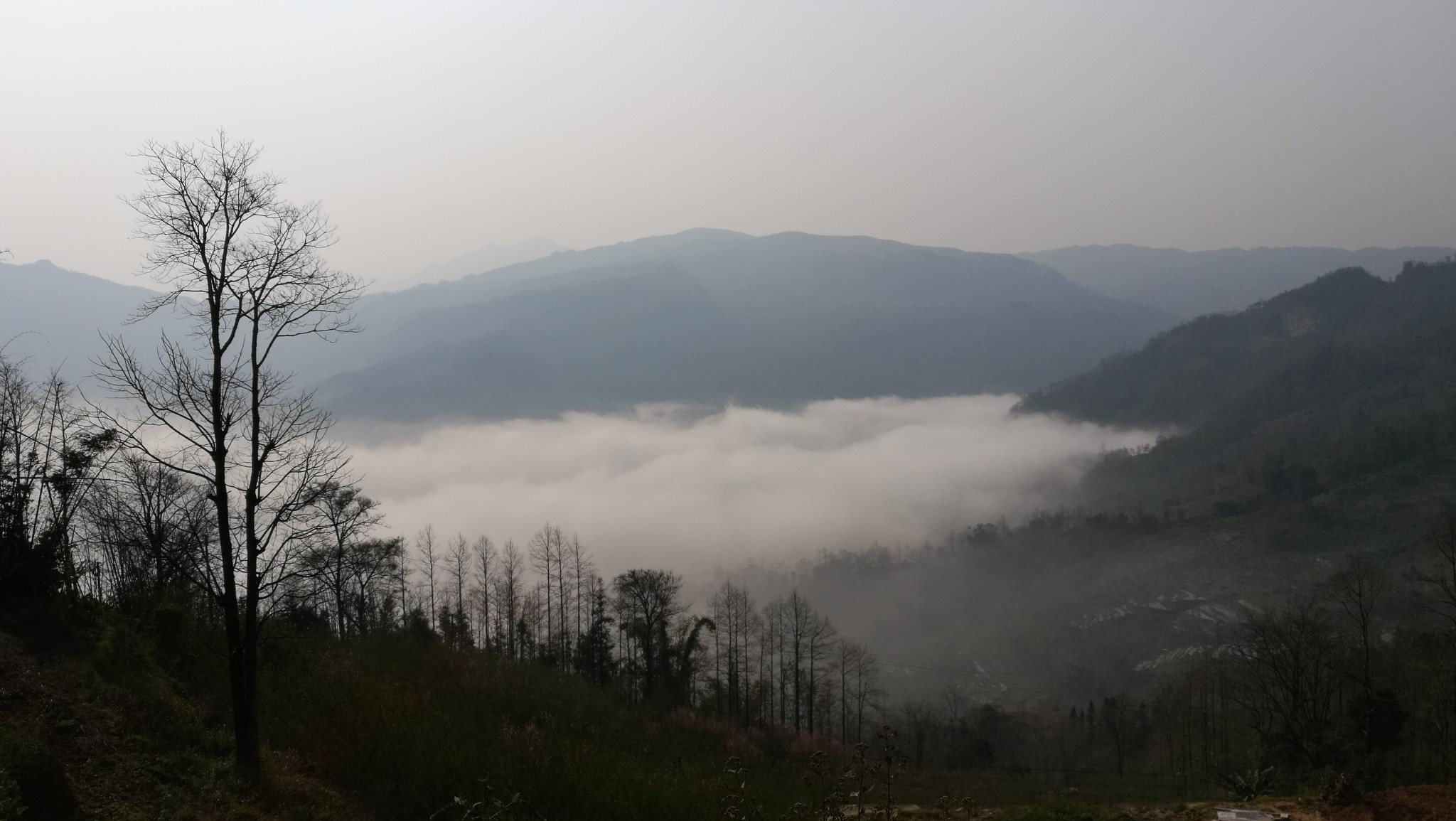 红河州有多少人口_越南的两大经济中心,命脉都被中国握住