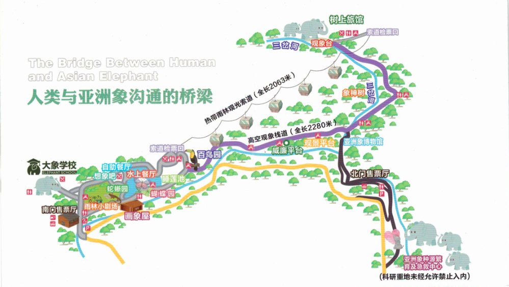 野象谷景区游览图,图片来源于景区官方