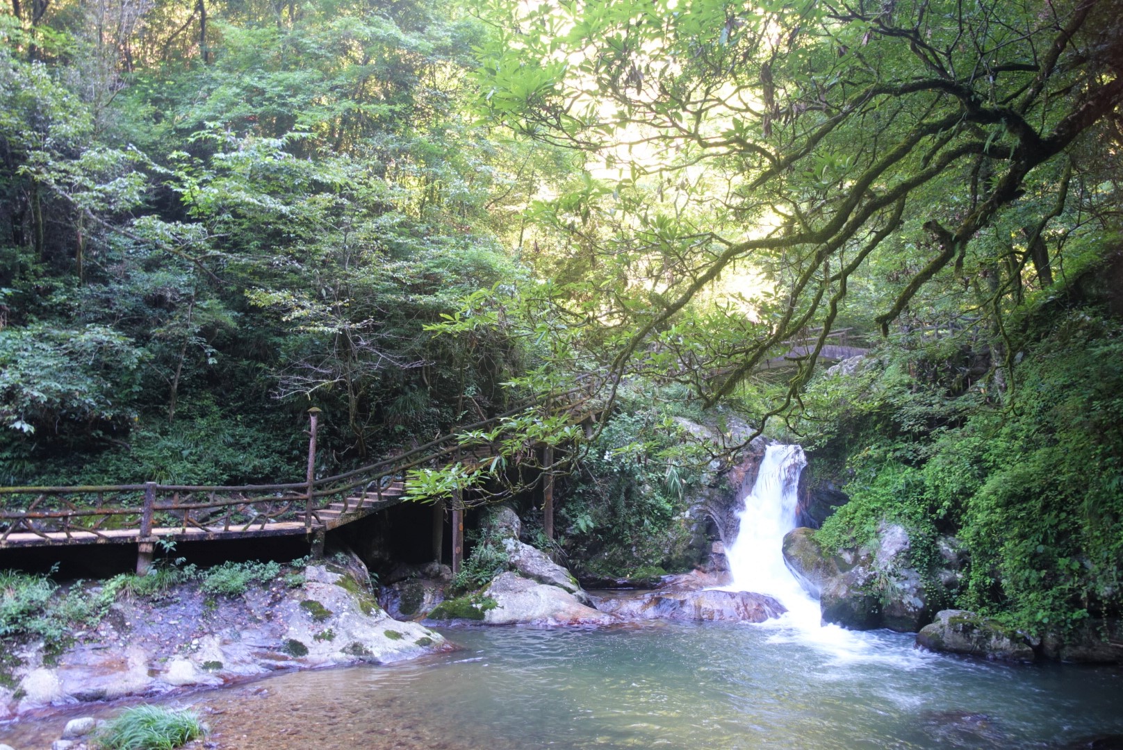 和"家人"一起去旅行—神龙谷,井冈山两日自驾游