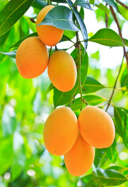 wKgBZ1i3y7qAFZKNAAfBXJzm--U606.png?imageView2%2F2%2Fw%2F600%2Fh%2F600%2Fq%2F90