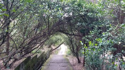 广安佛手山风景区门票