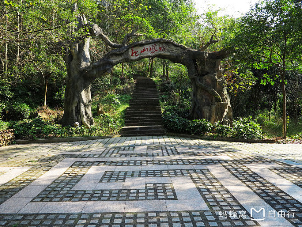 迎江寺游玩攻略,迎江寺游玩攻略一日游