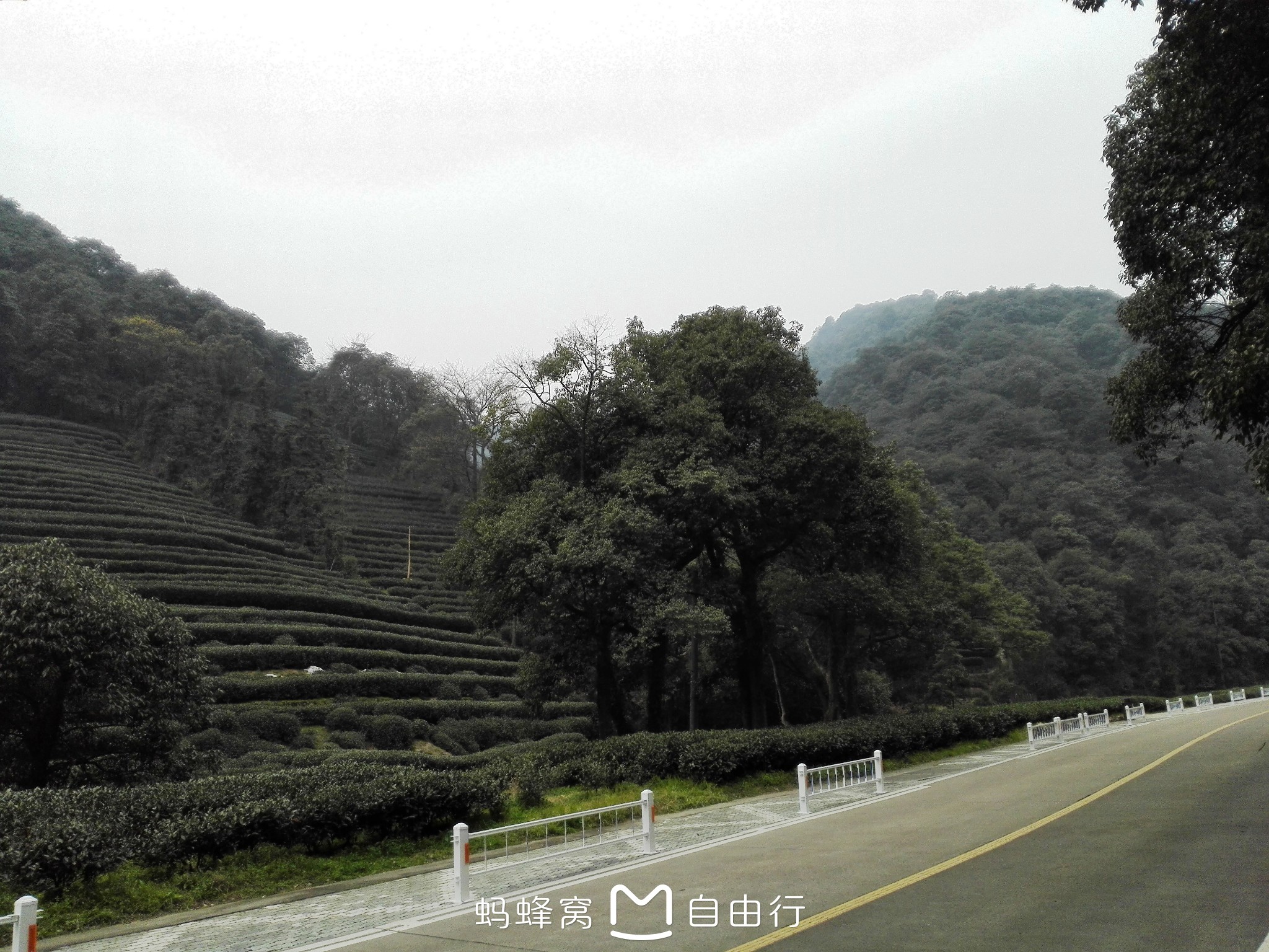 杭州市有多少人口2017_杭州市萧山区有几个镇